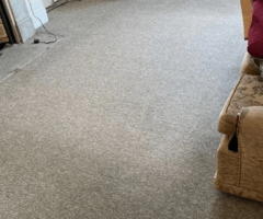 Professional Carpet Cleaning in London UK