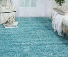 Want to create a contemporary vibe by laying a rug? Buy Aqua Area Rug - 1