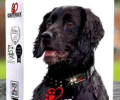 Defence Collar for Dogs - 1