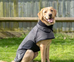 Quick-Dry Comfort: Dog Drying Coats for Sale in the UK