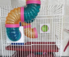Used Hamster/Mouse Cage