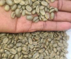 top-quality Ugandan robusta and Arabica coffee beans? Contact +27719755564.